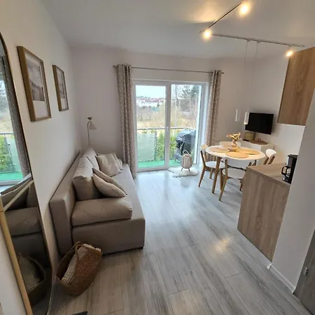 Apartment Bosmanski Loft *
